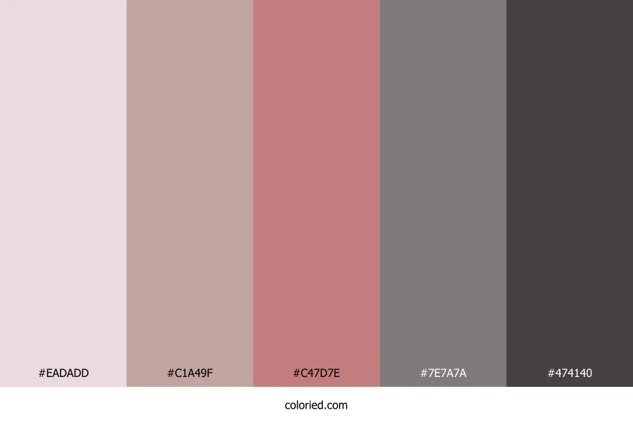 Dusty Rose Vintage Color Palette