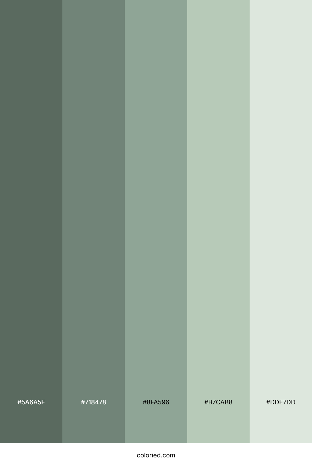 Dusty Sage Color Palette