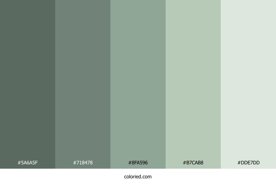 Dusty Sage Color Palette