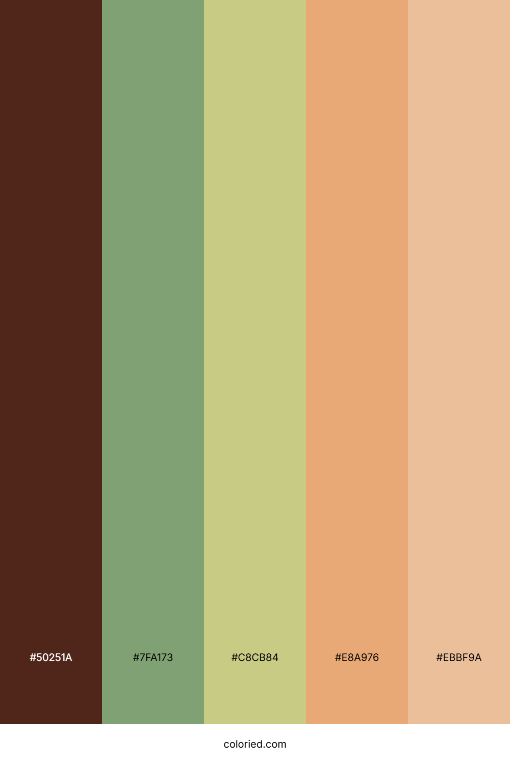 Earthwood Sunset Glow Color Palette