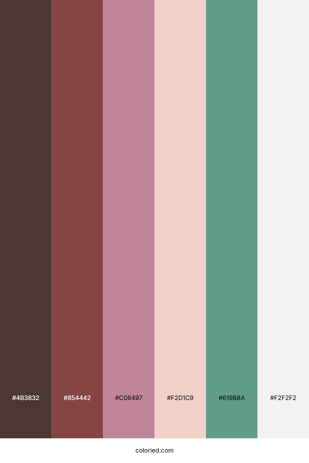 Earthy Clay Blush Color Palette