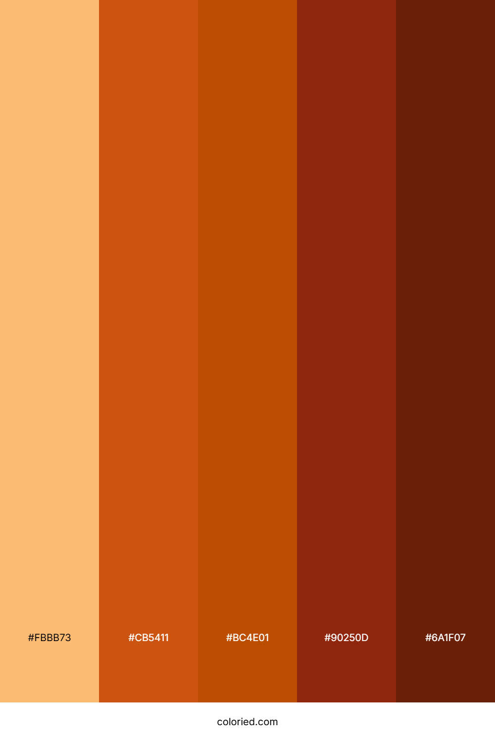 Earthy Clay Stone Color Palette