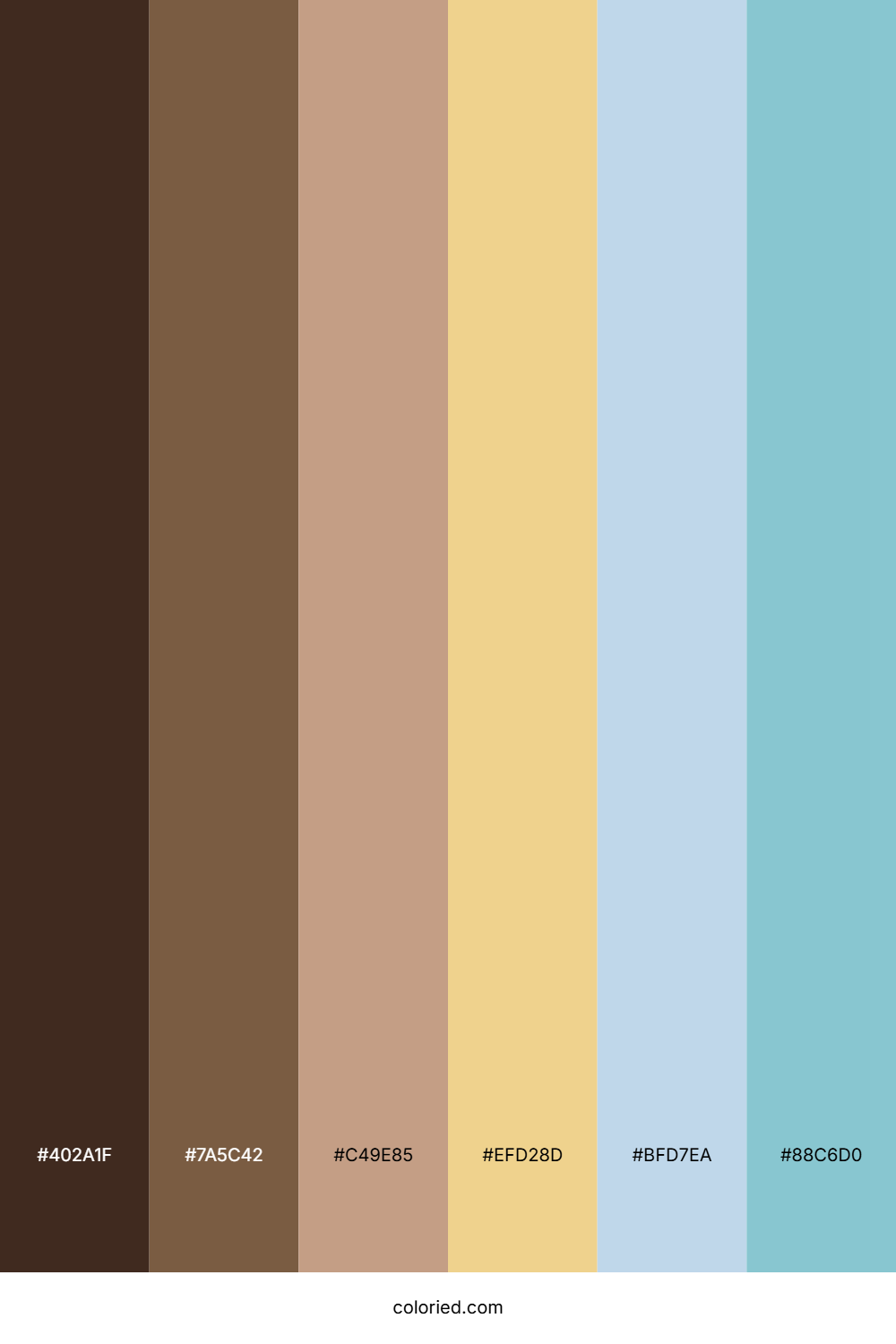 Earthy Cocoa Sky Color Palette