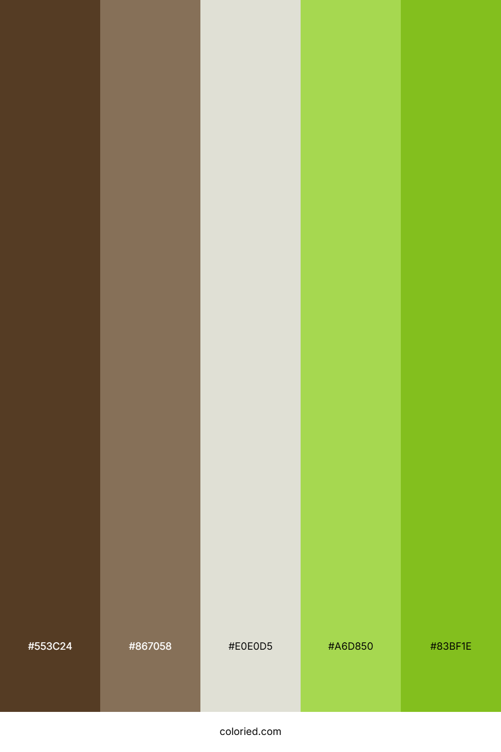 Earthy Green and Rich Brown Color Palette