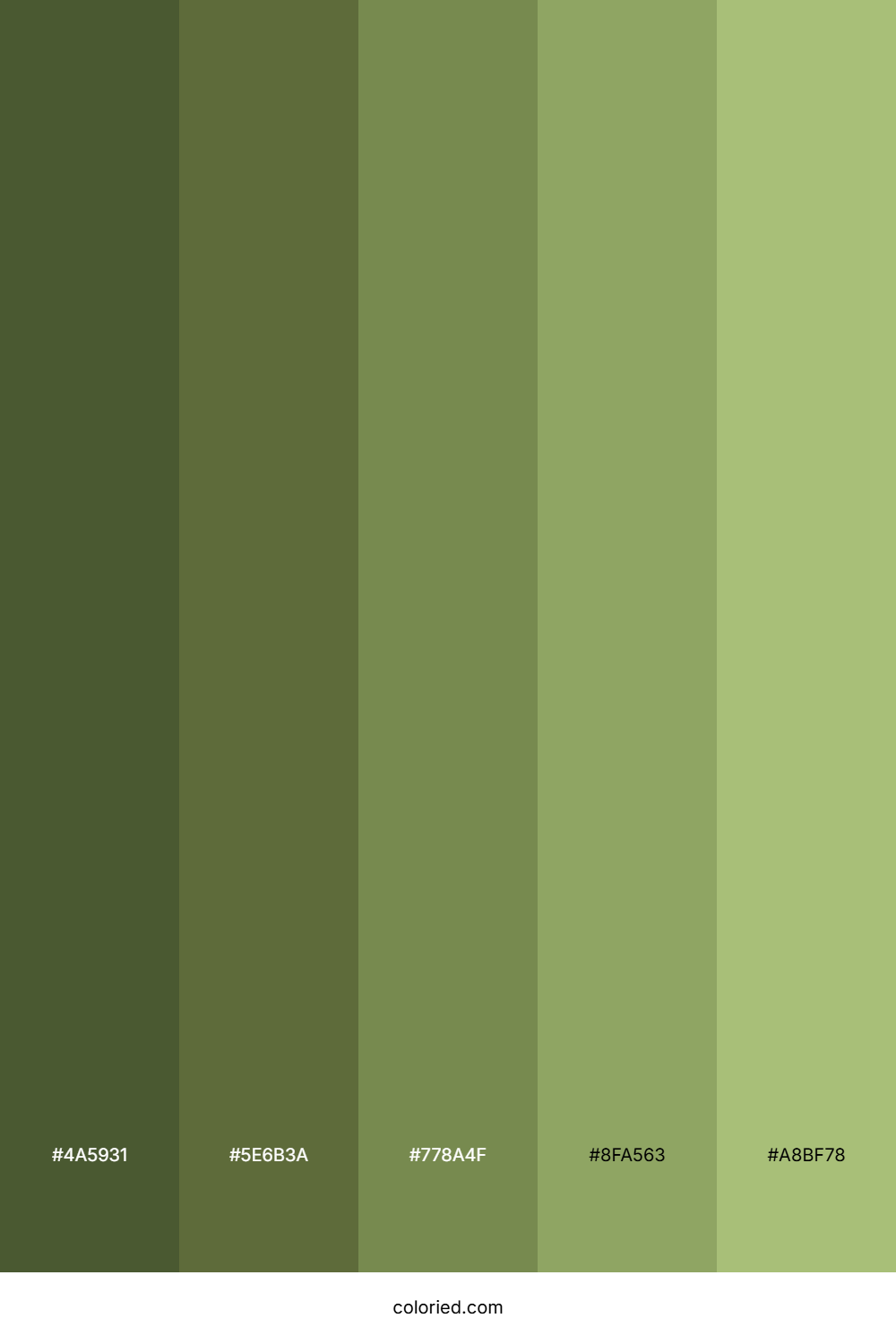 Earthy Green Color Palette