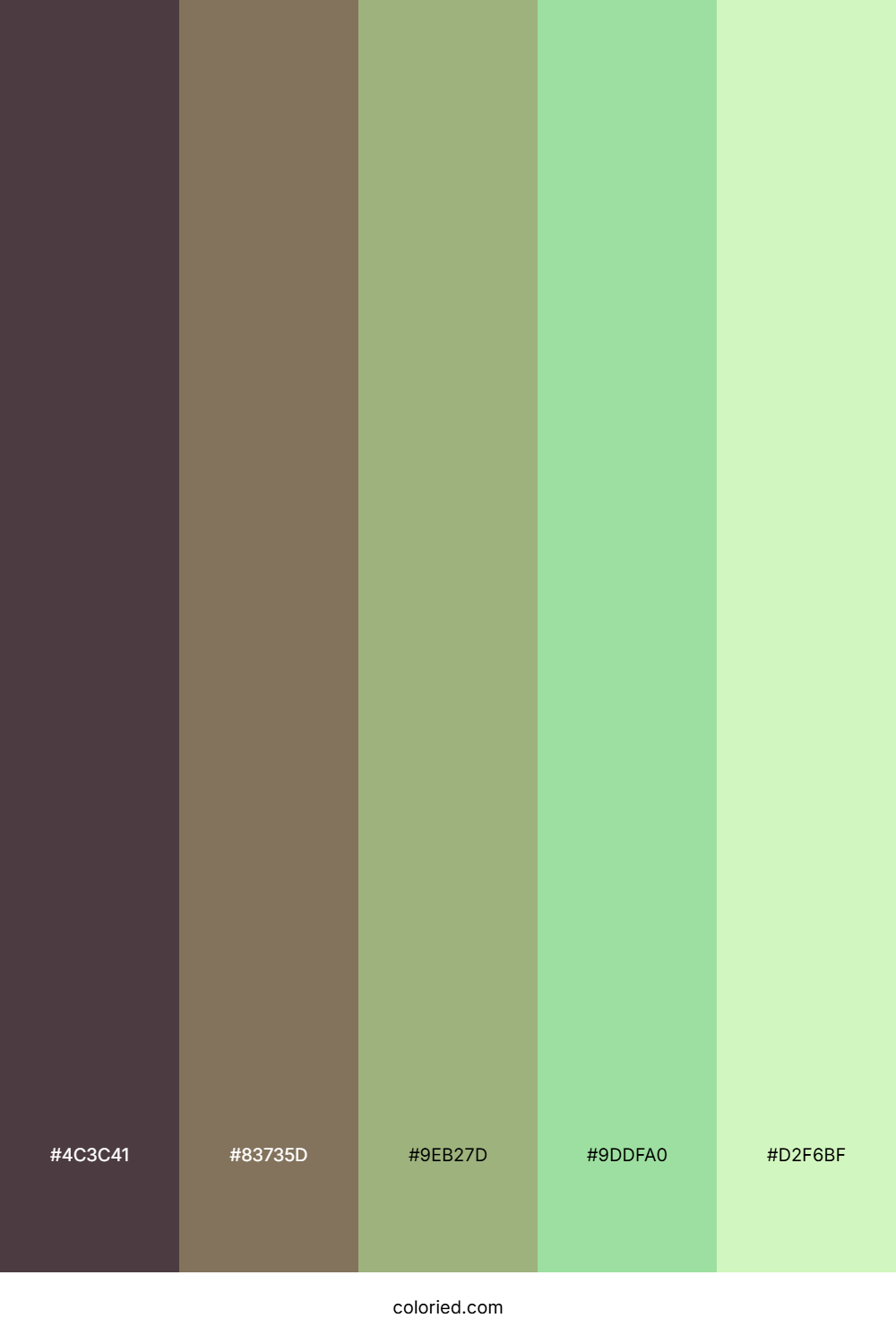 Earthy Sage Meadow Color Palette