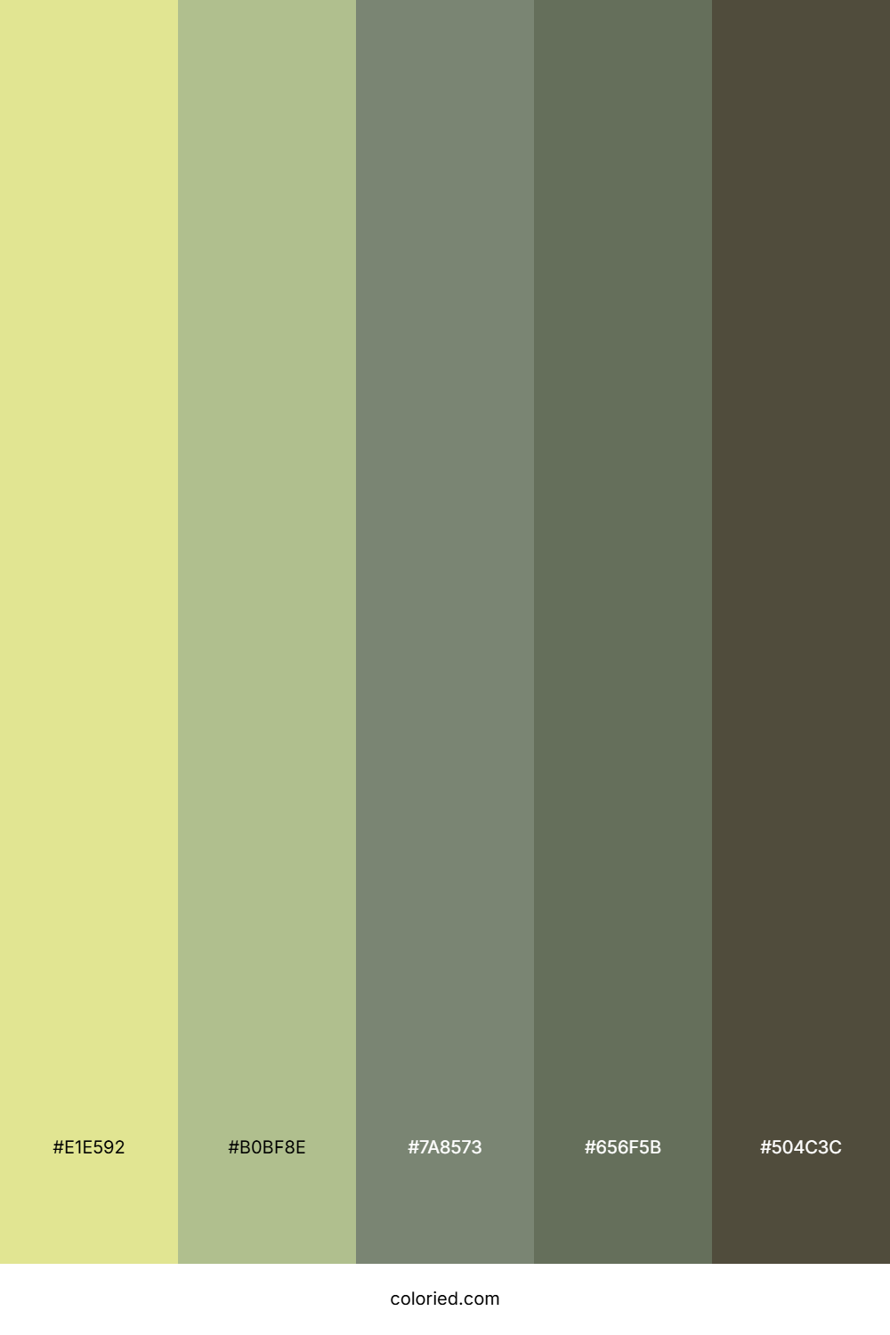 Earthy Sage Path Color Palette