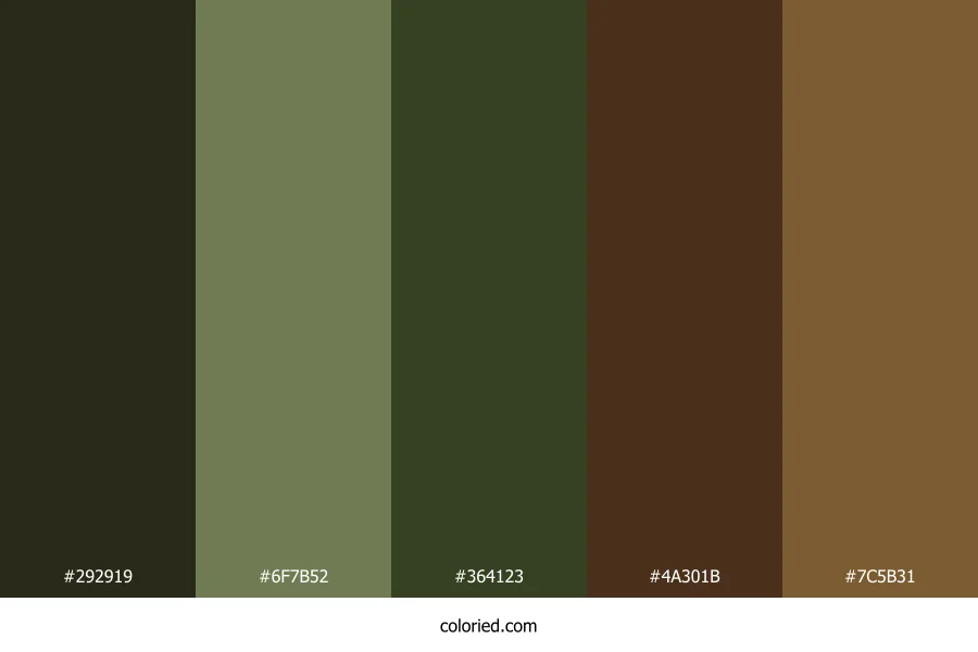 Earthy Shadow Color Palette