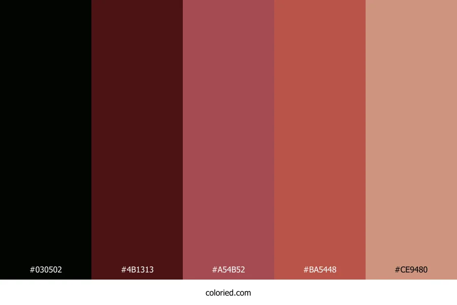Ebony Garnet Glow Color Palette