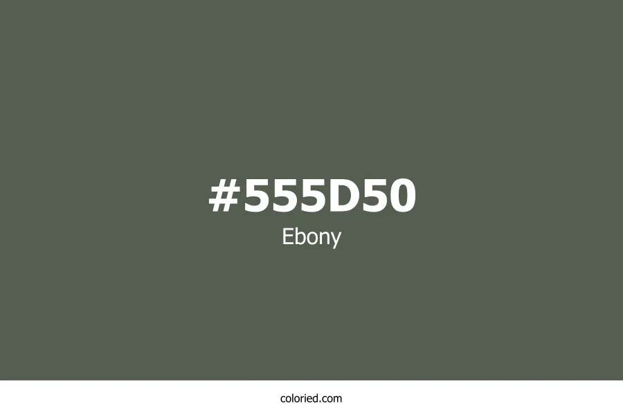Ebony Color Hex Code