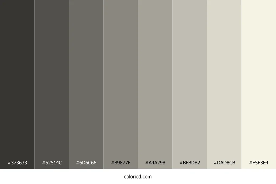 Ecru White Color Shades