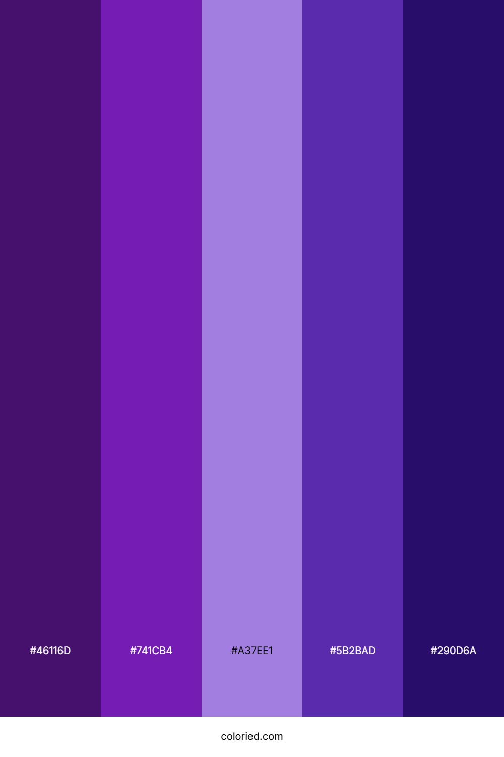 Eggplant and Violet Color Palette