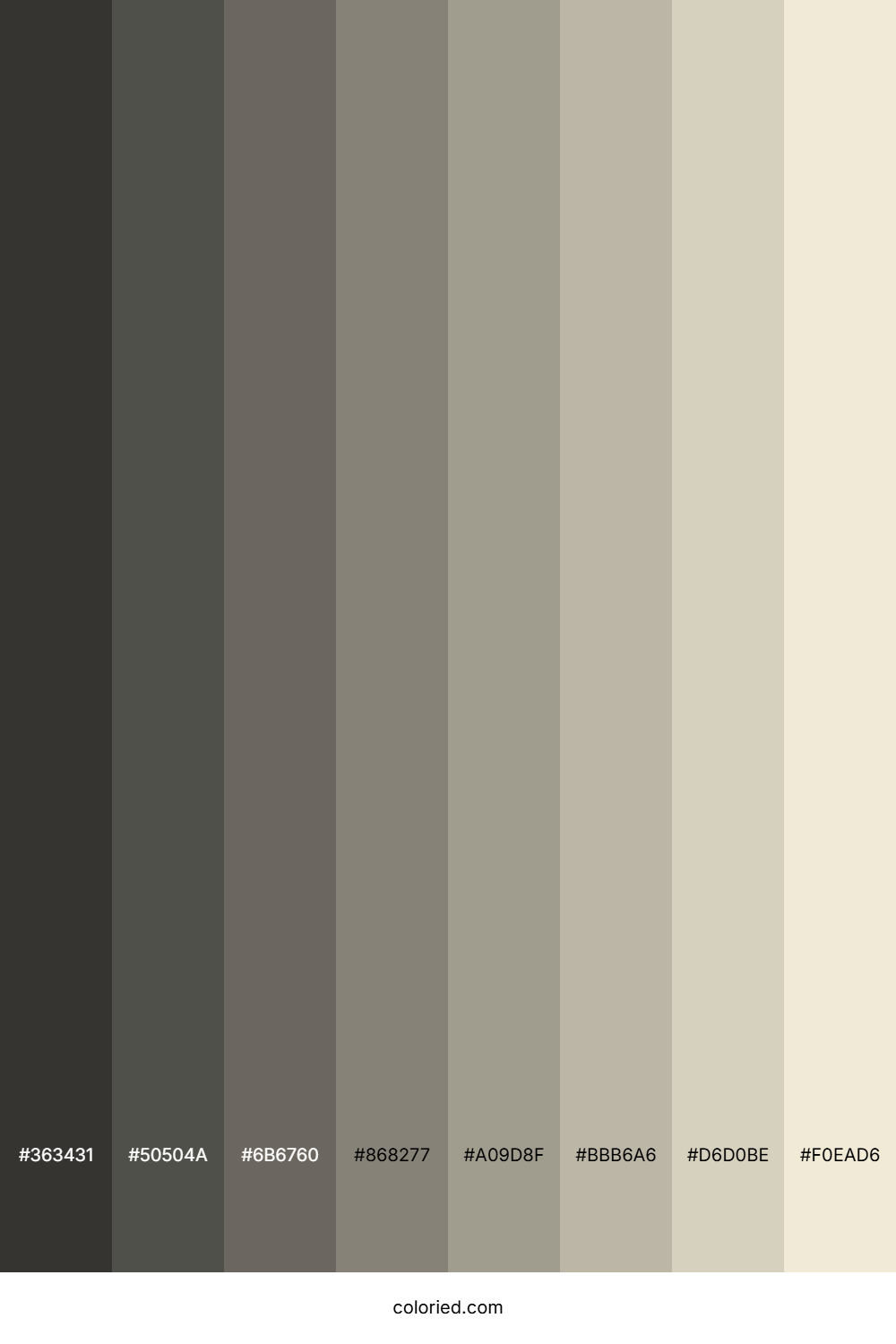 Eggshell Color Shades