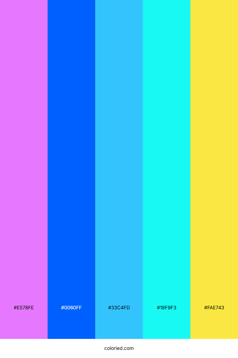 Electric Blue And Hot Pink Color Palette