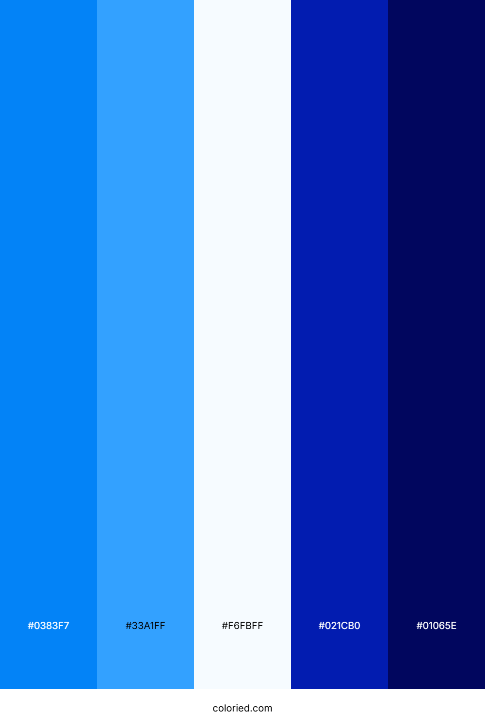Electric Blue And Midnight Color Palette