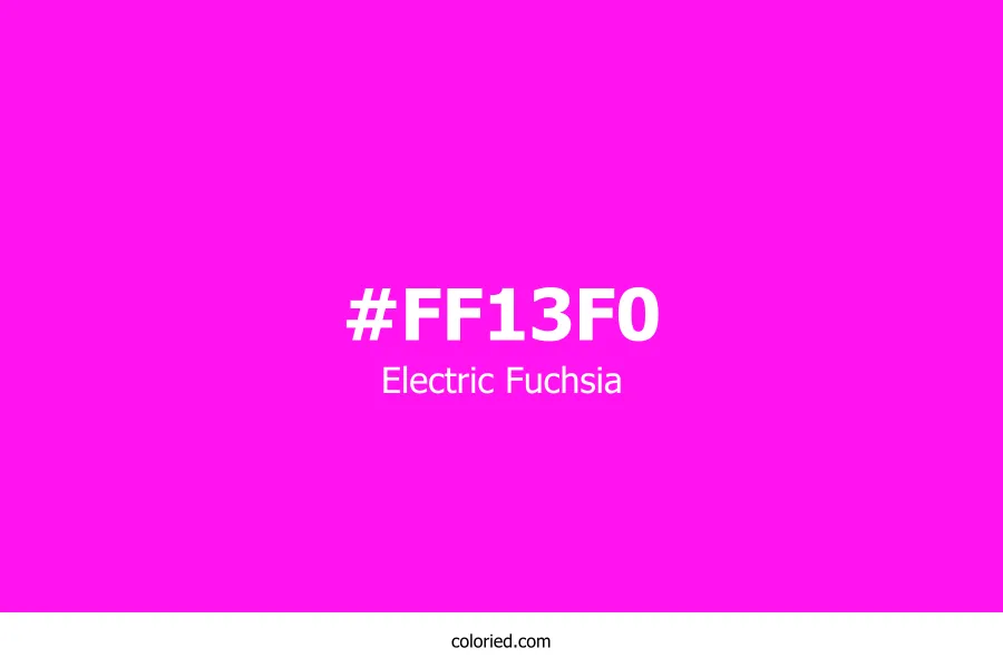 Electric Fuchsia Color