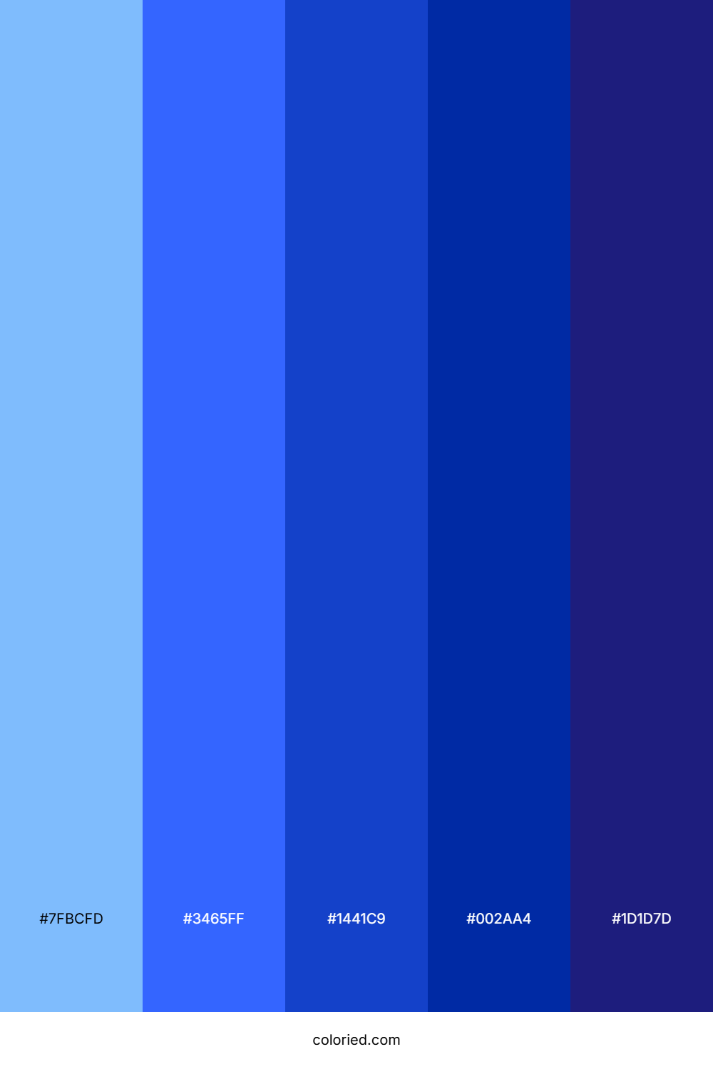 Electric Navy Wave Color Palette
