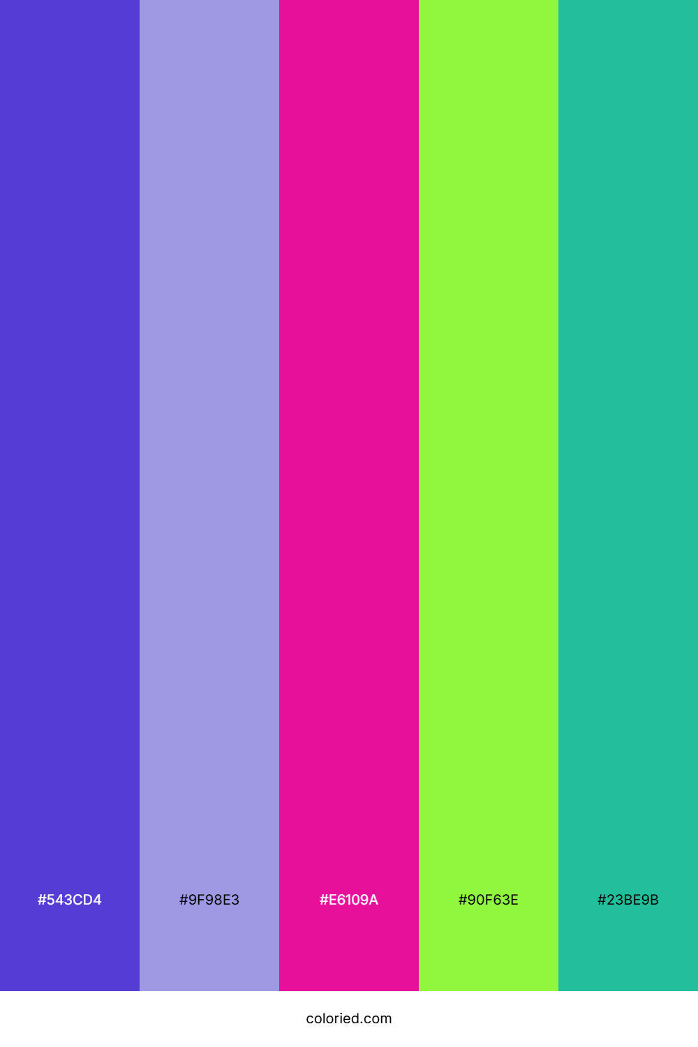 Electric Orchid Glow Color Palette