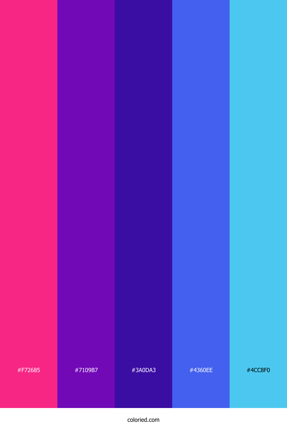 Electric Orchid Wave Palette