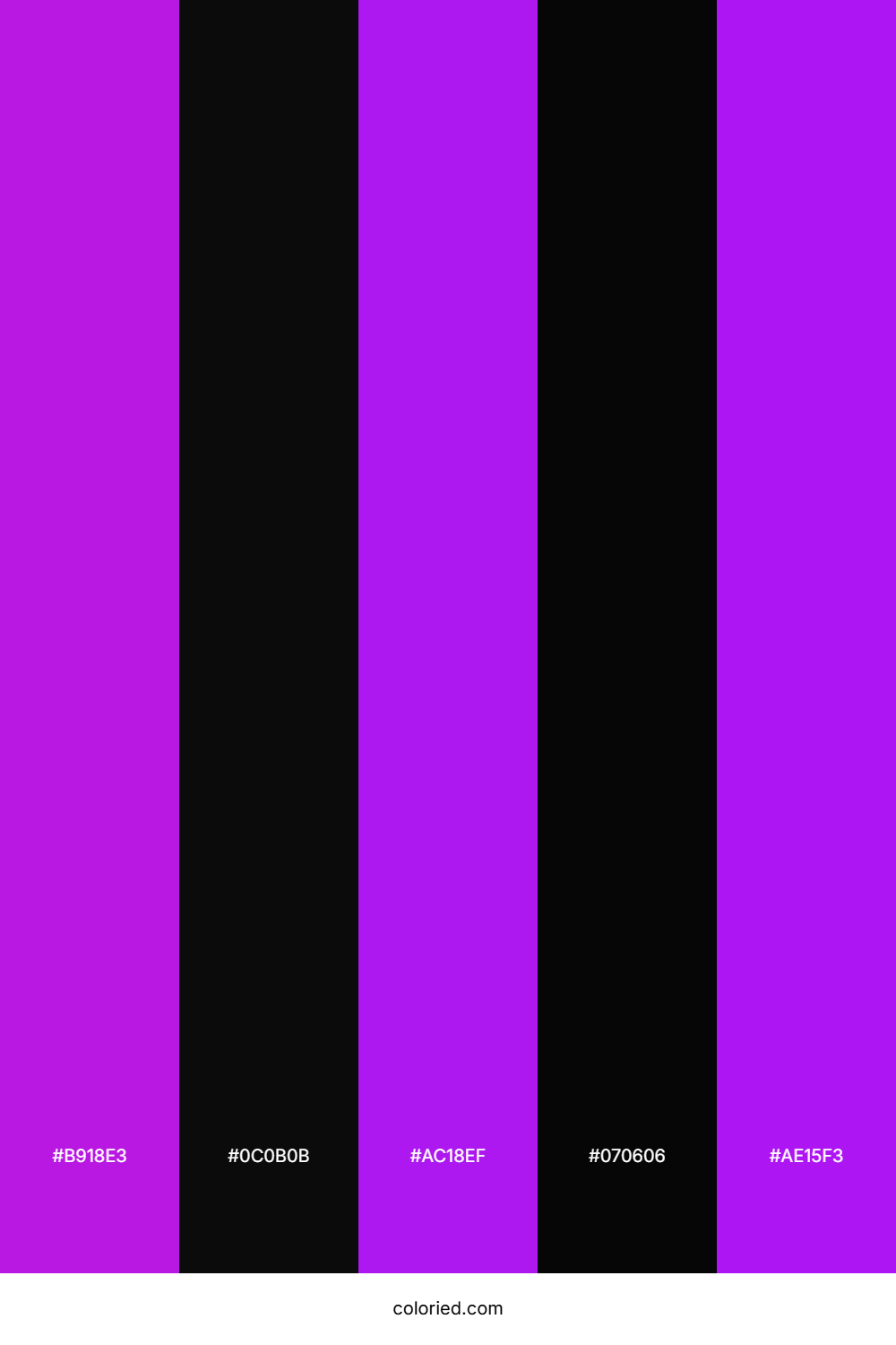 Electric Purple and Black Color Palette