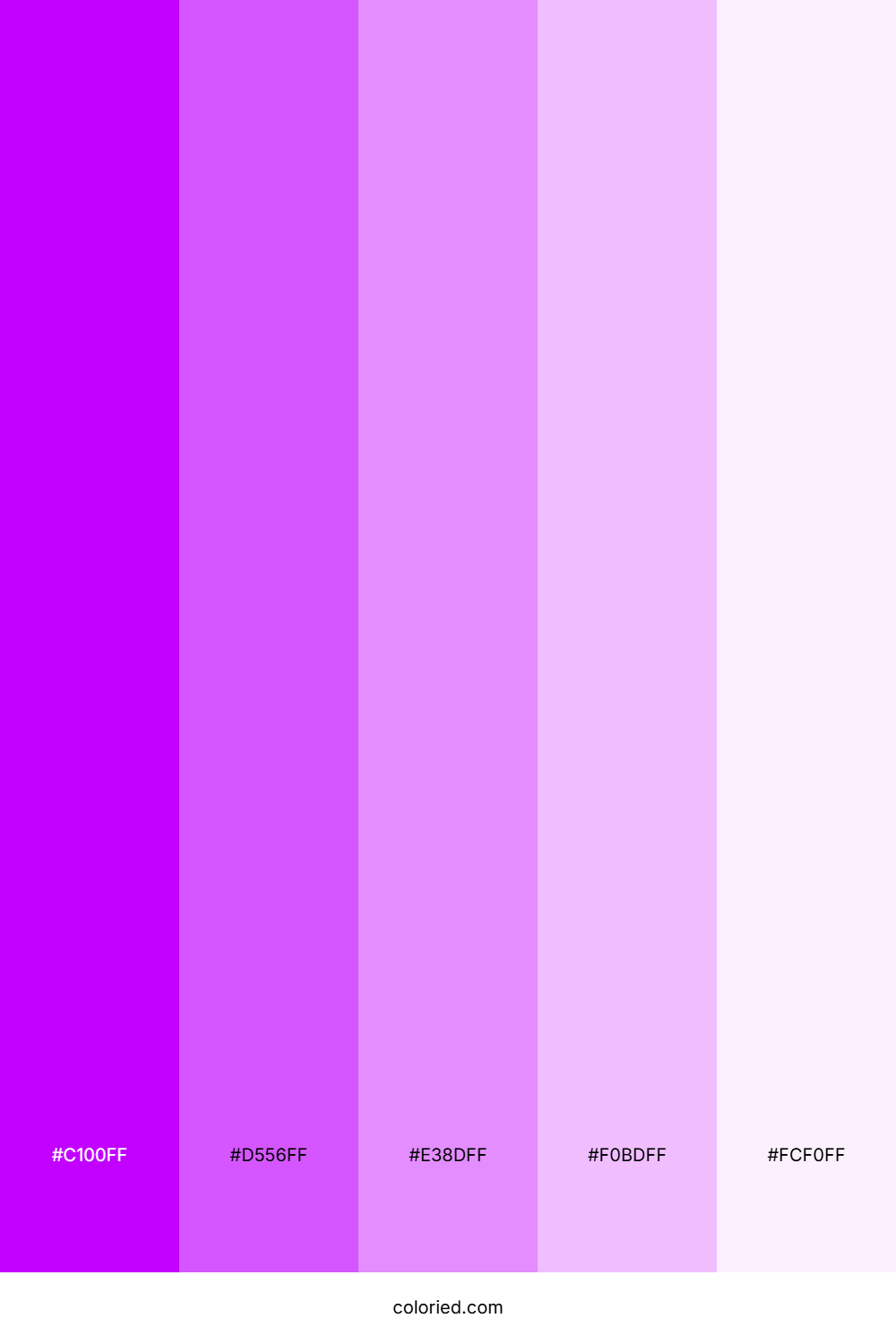 Electric Purple and Orchid Color Palette
