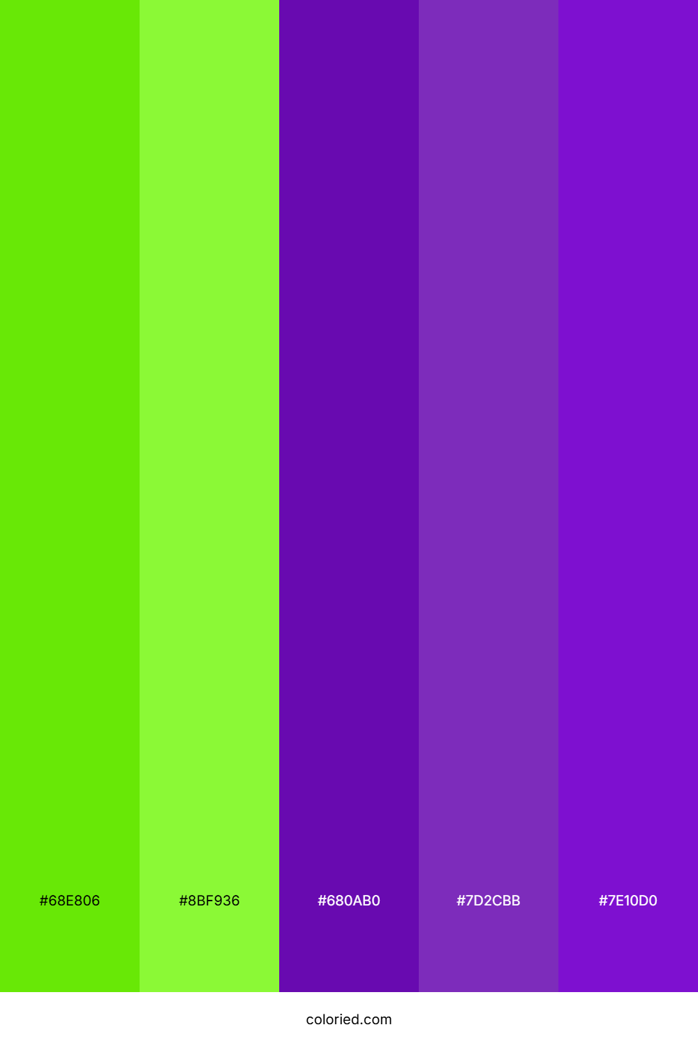 Electric Purple Garden Color Palette