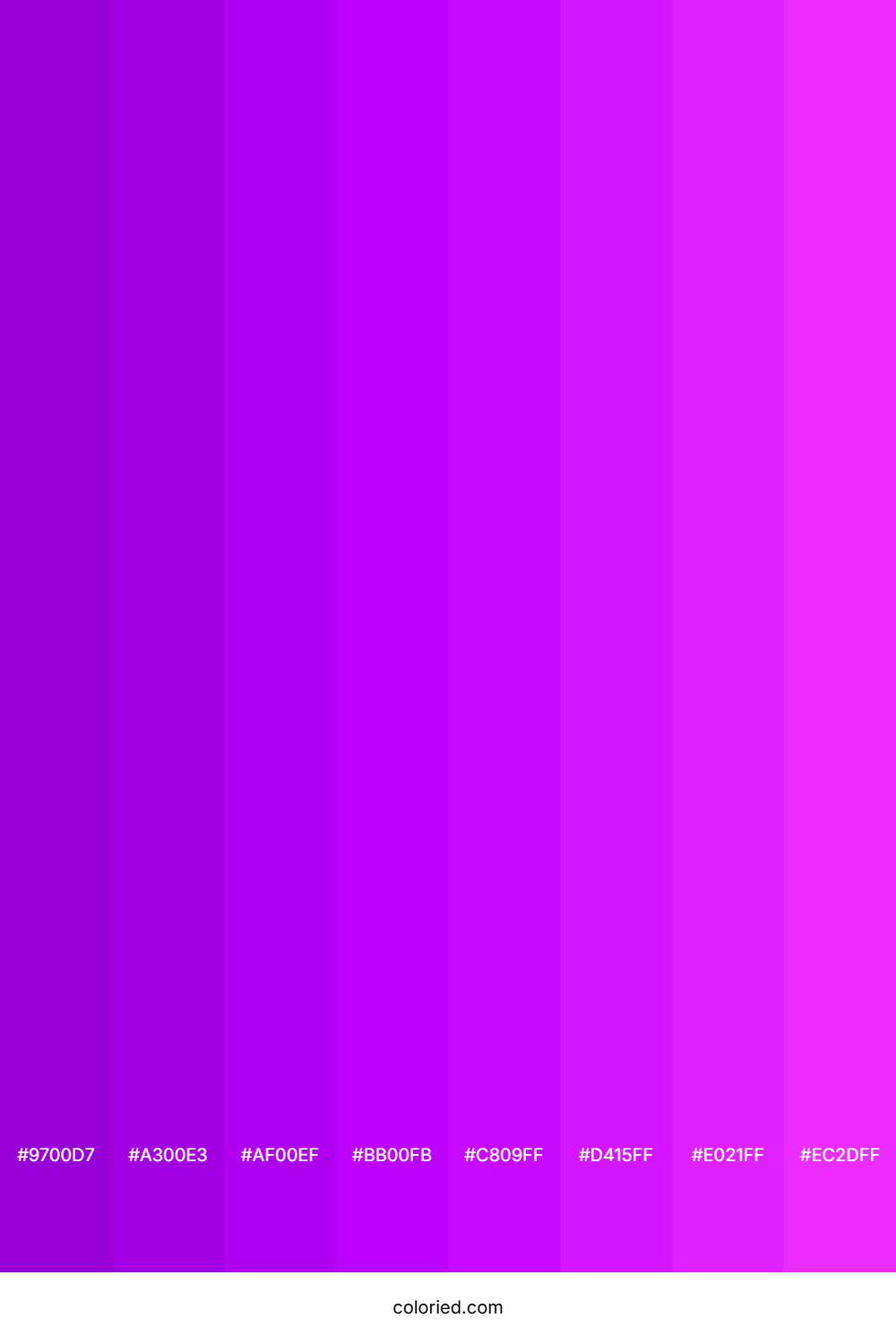 Electric Purple Shades