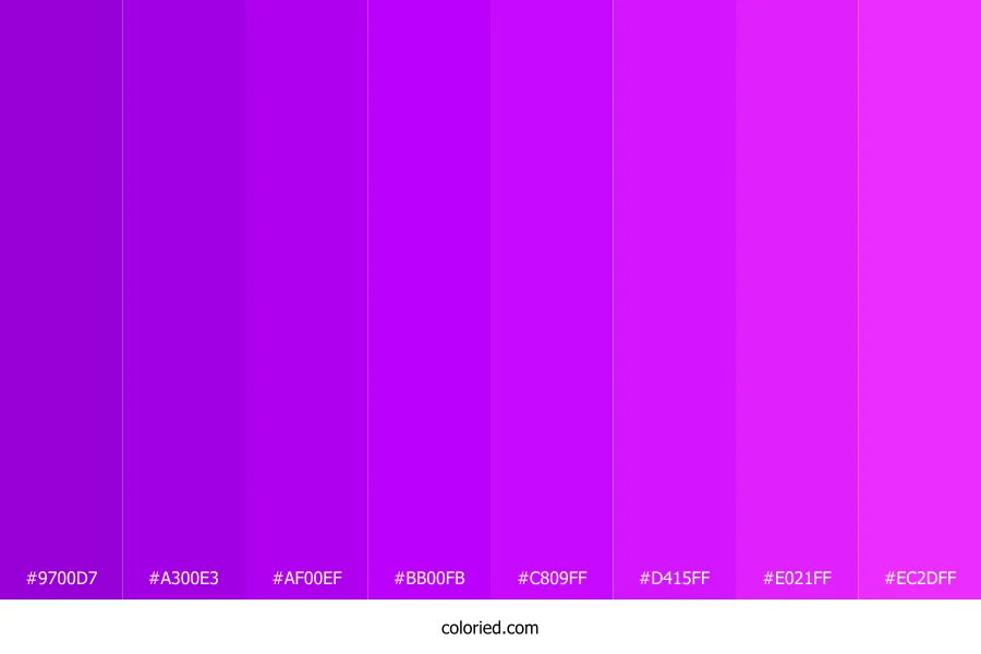 Electric Purple Shades