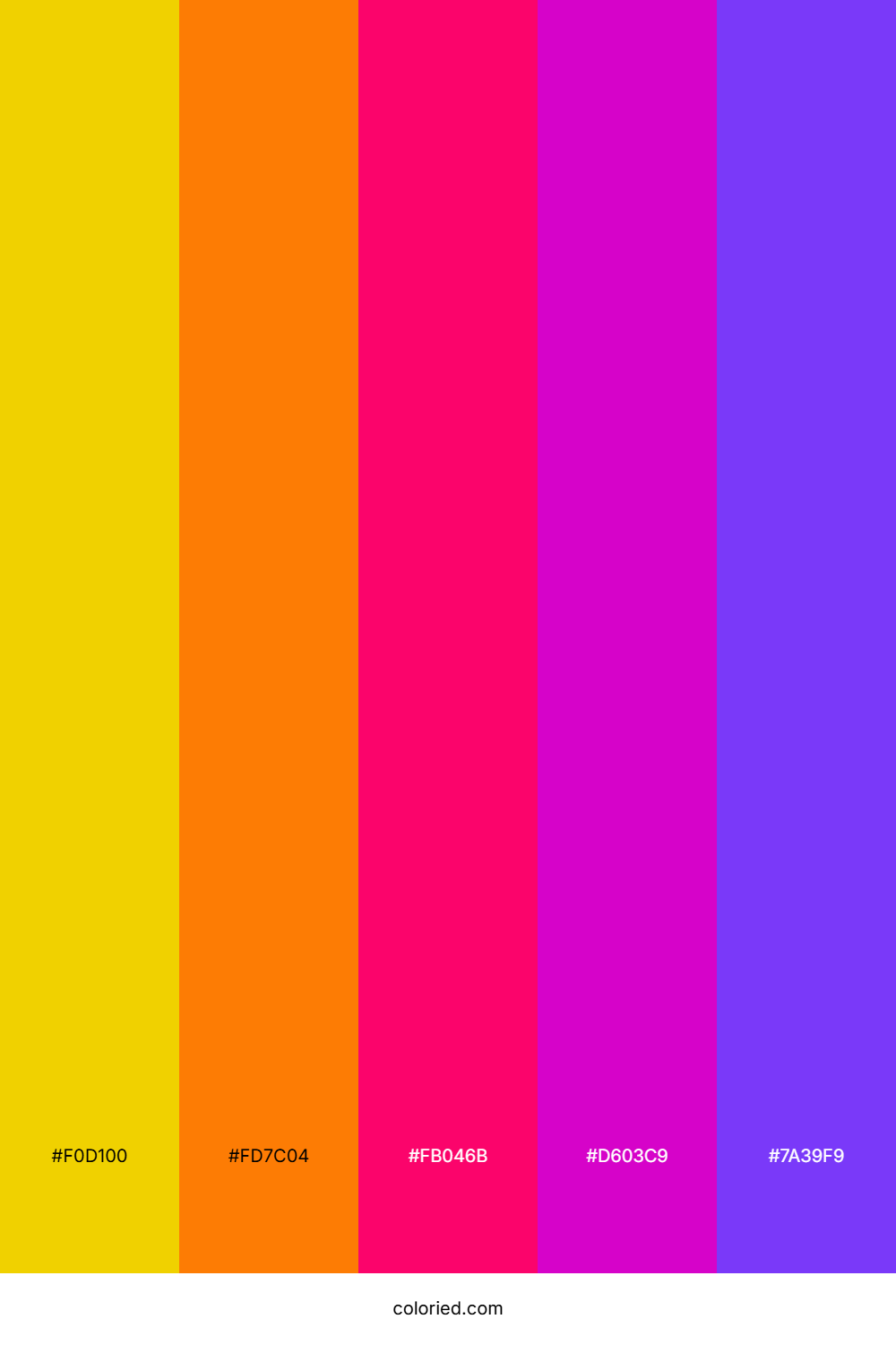 Electric Rainbow Carnival Palette