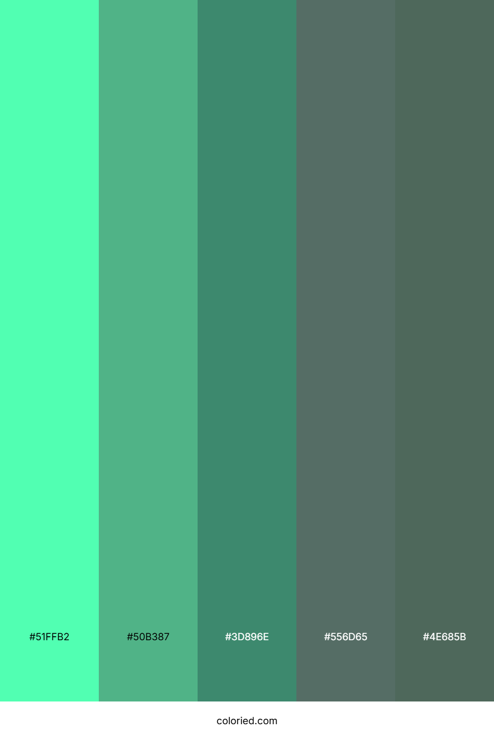 Emerald Fern Stream Color Palette