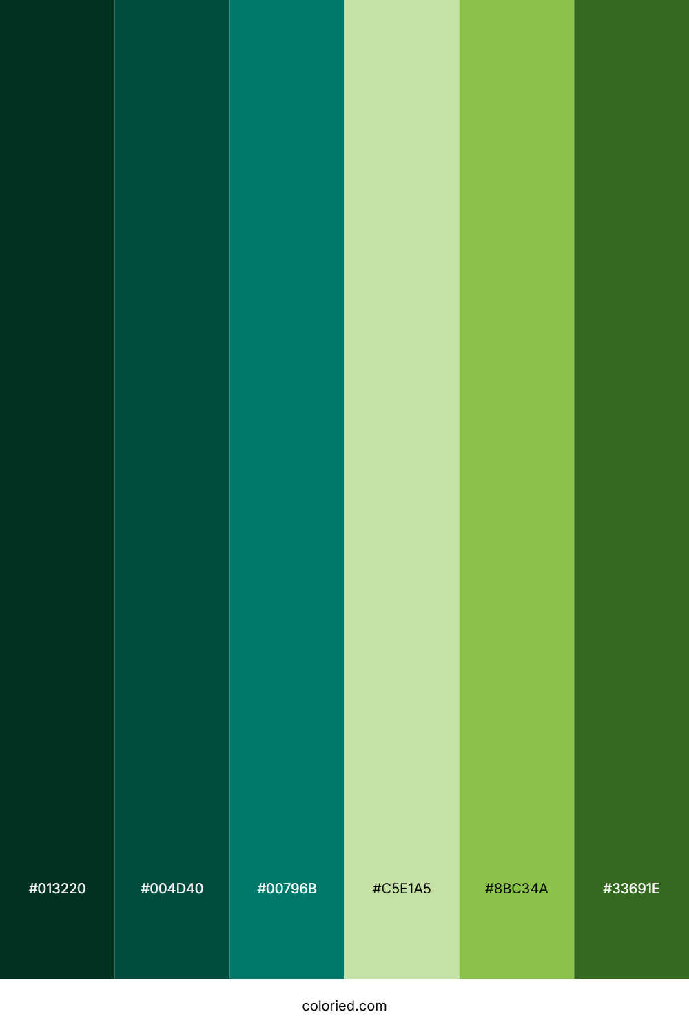 Emerald Forest Moss Color Palette