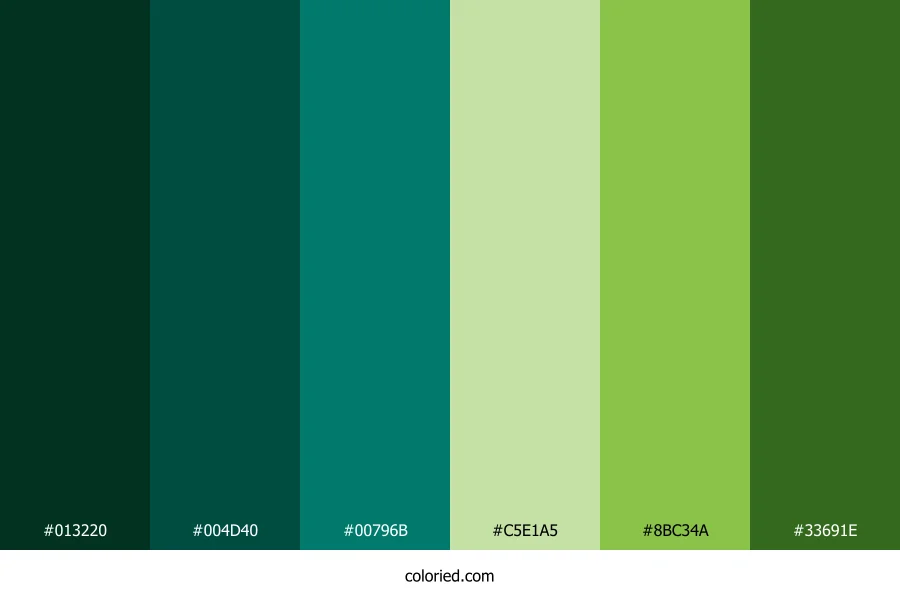 Emerald Forest Moss Color Palette