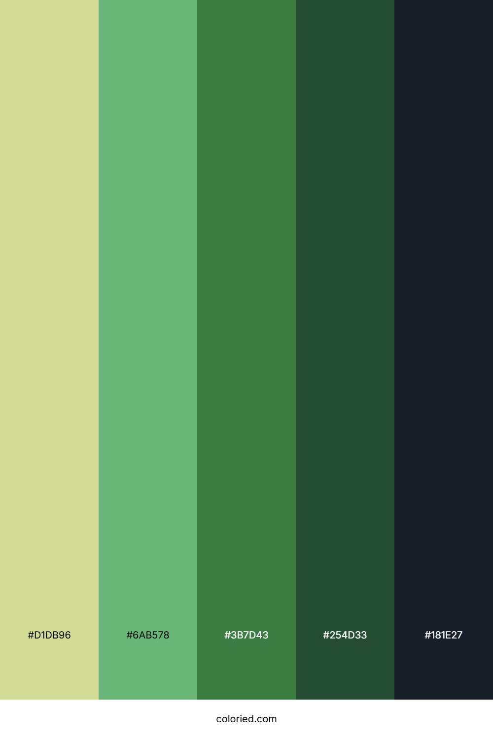 Emerald Forest Path Color Palette