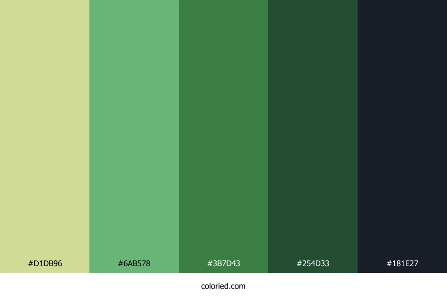 Emerald Forest Path Color Palette