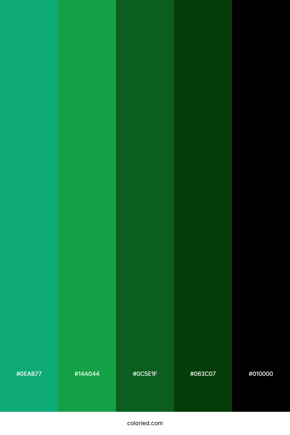 Emerald Jungle Shadow Color Palette