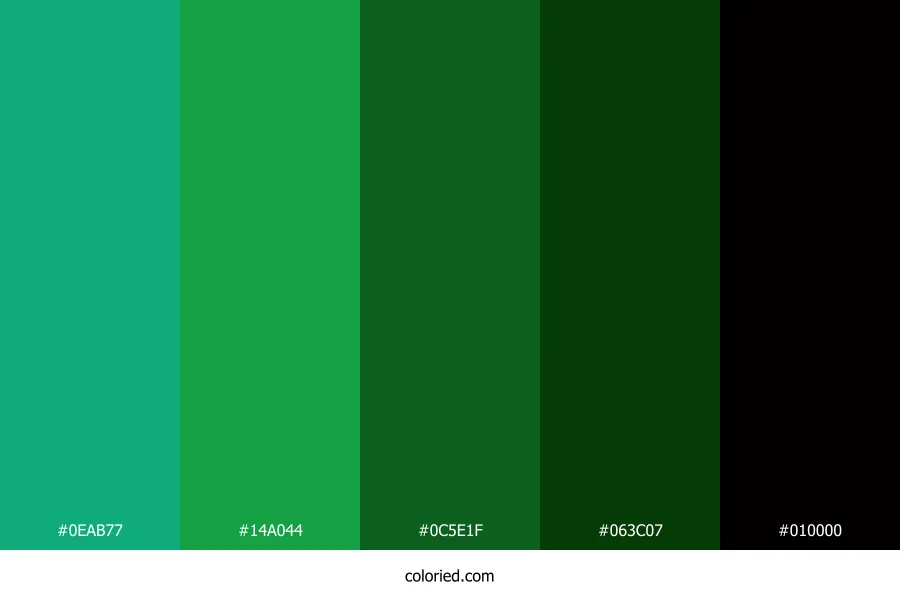 Emerald Jungle Shadow Color Palette
