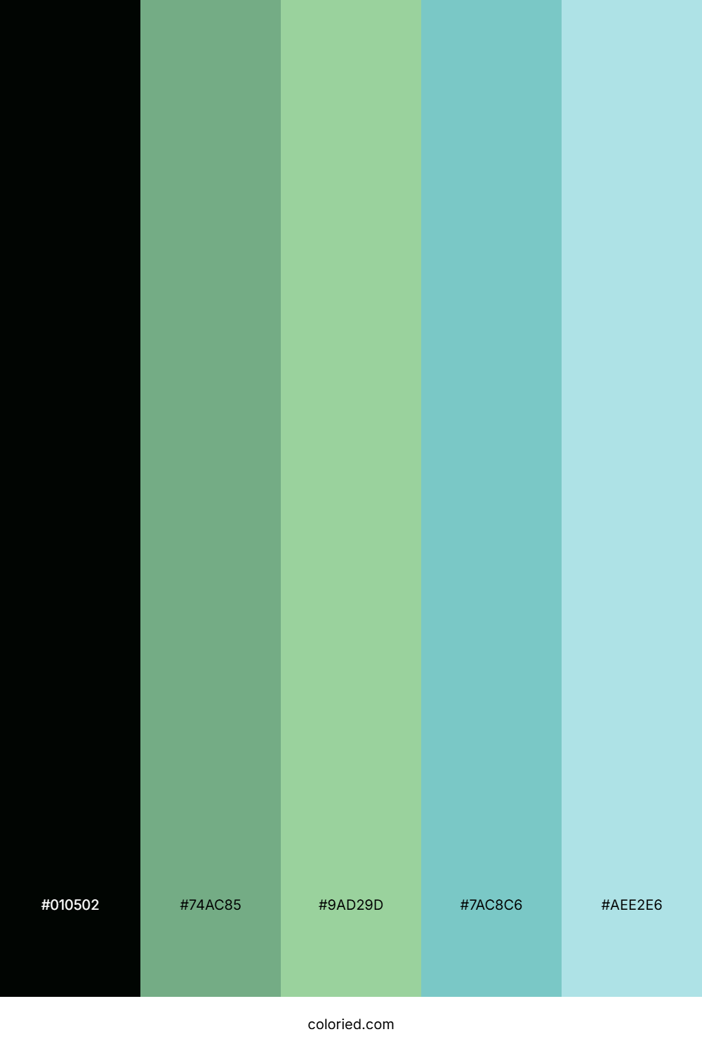 Emerald Mist Horizon Color Palette