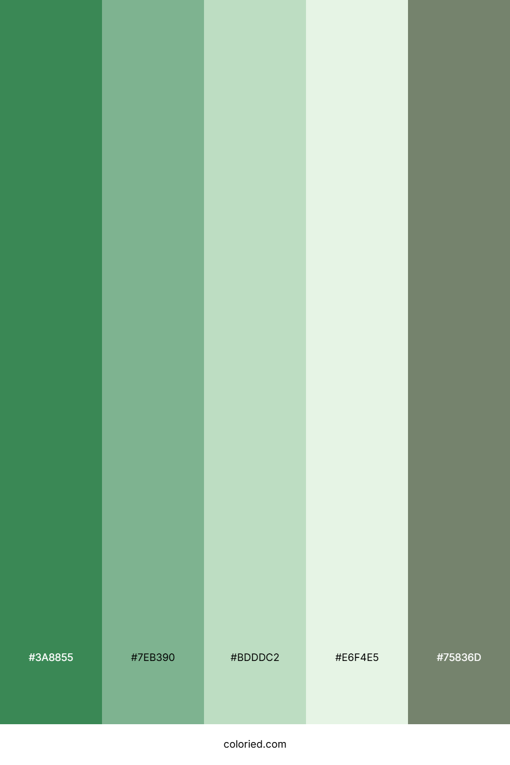 Emerald Mist Meadow Color Palette