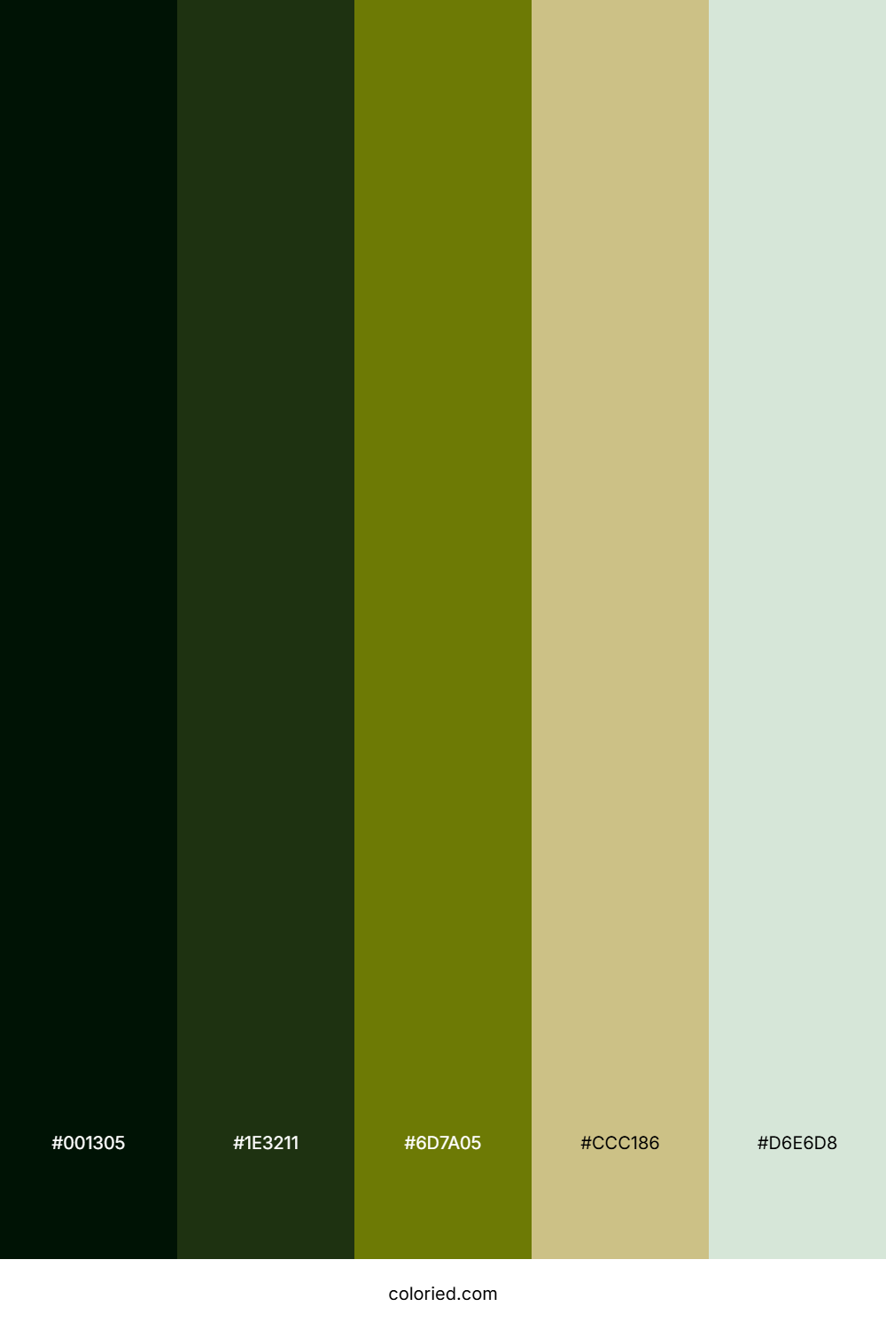 Emerald Moss Path Color Palette