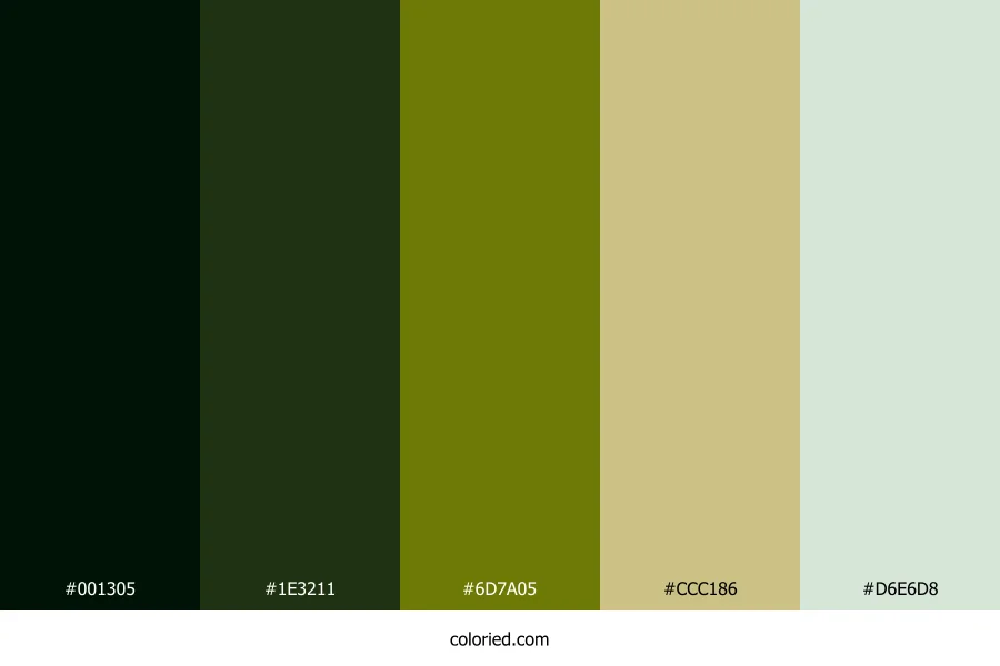Emerald Moss Path Color Palette