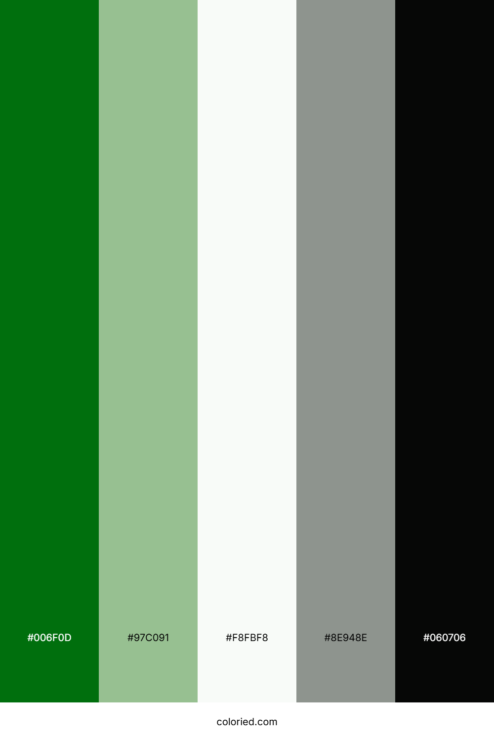 Emerald Rainforest Mist Color Palette