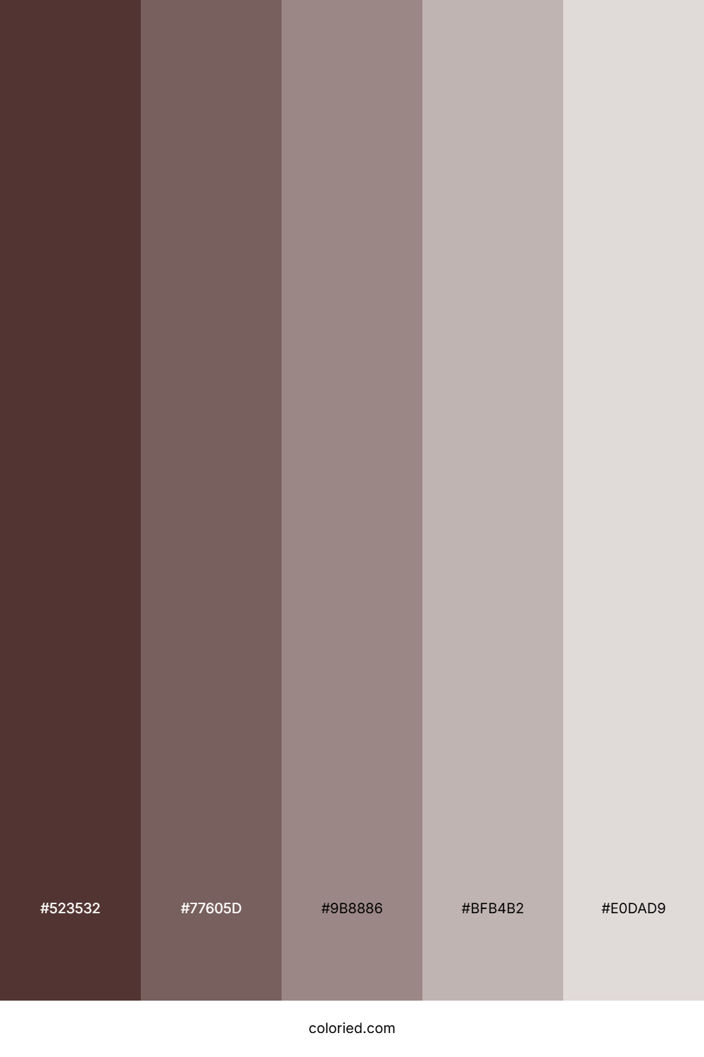Espresso and Taupe Color Palette