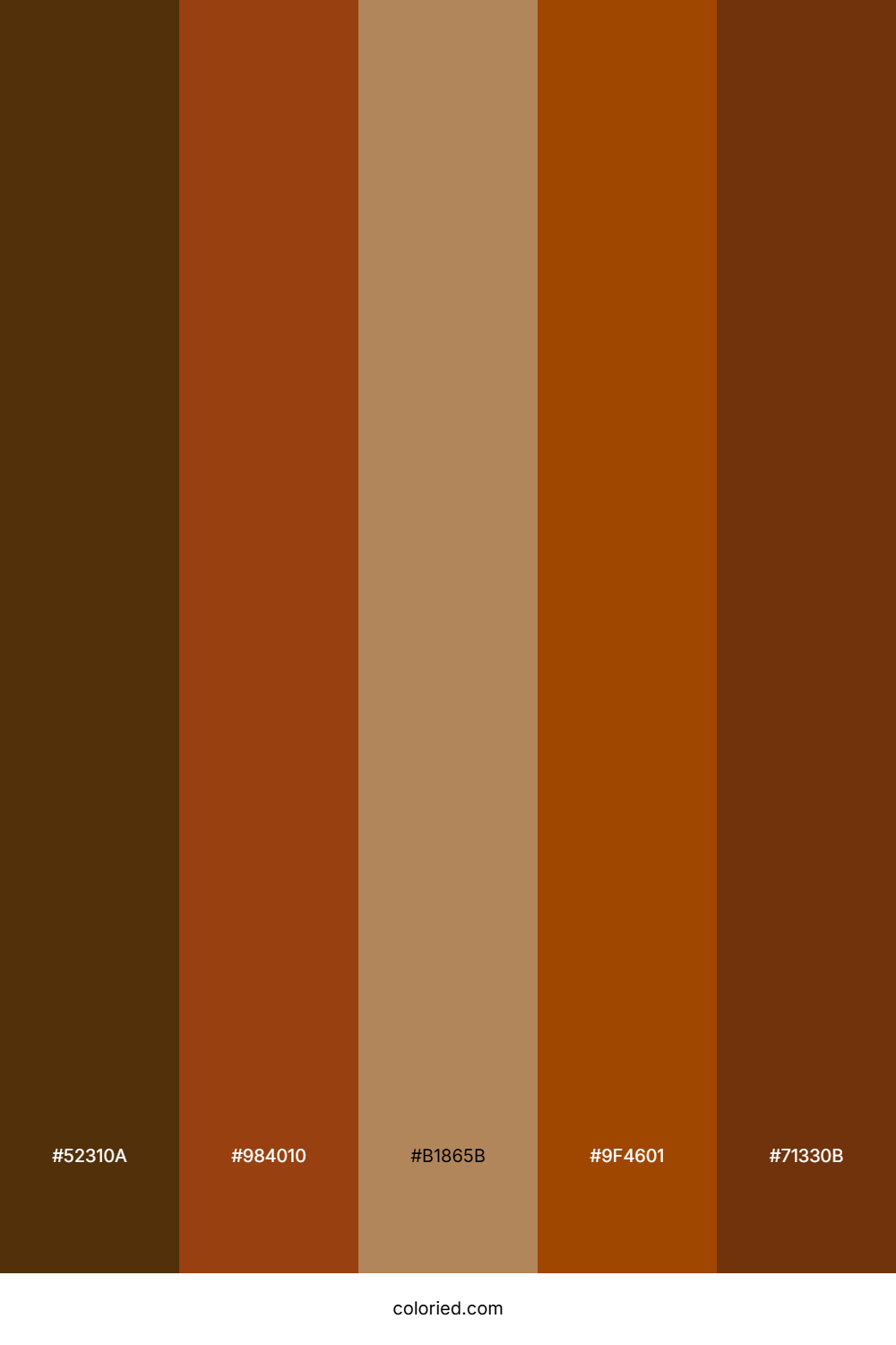 Espresso Brown and Caramel Color Palette
