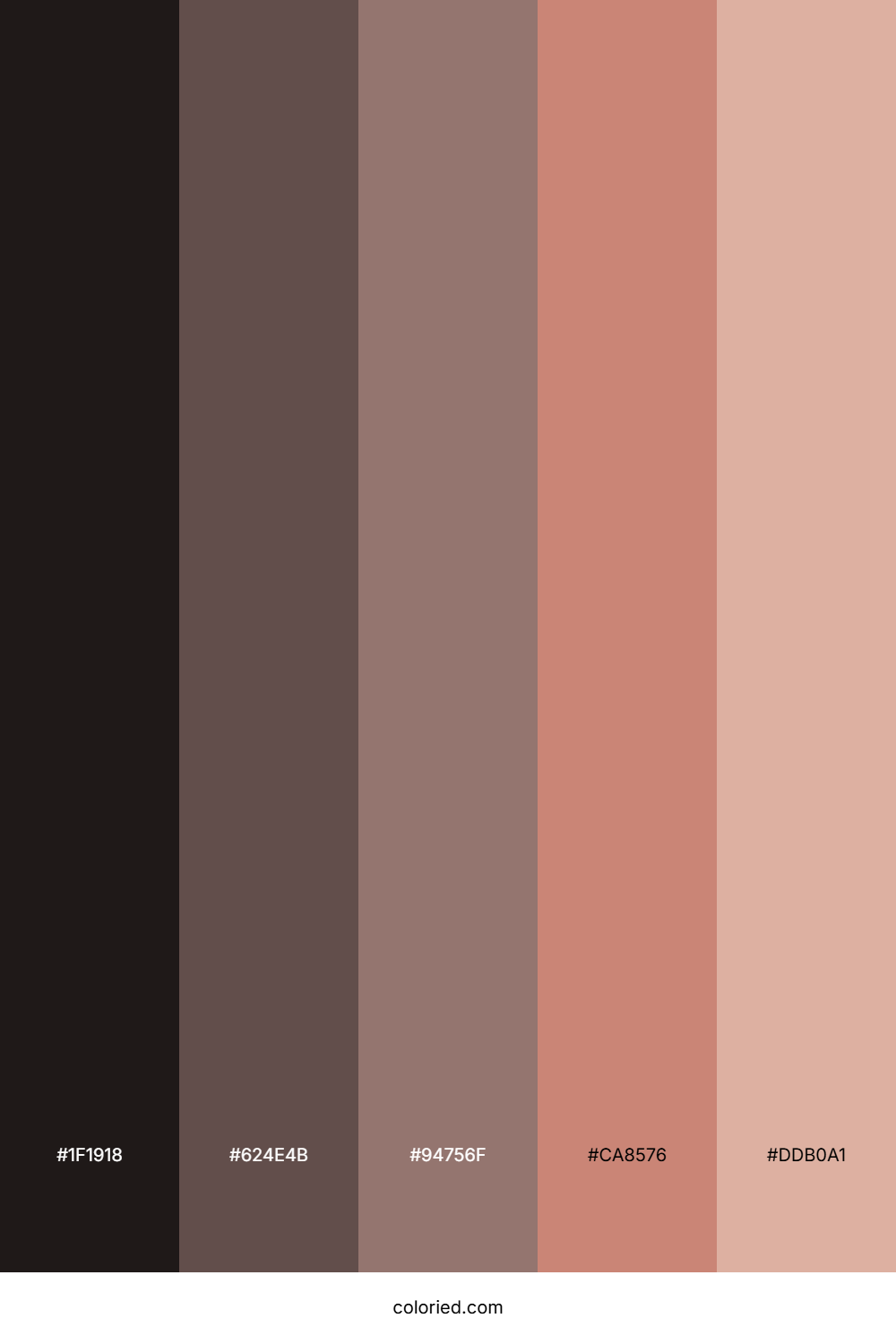 Espresso Brown and Soft Peach Color Palette