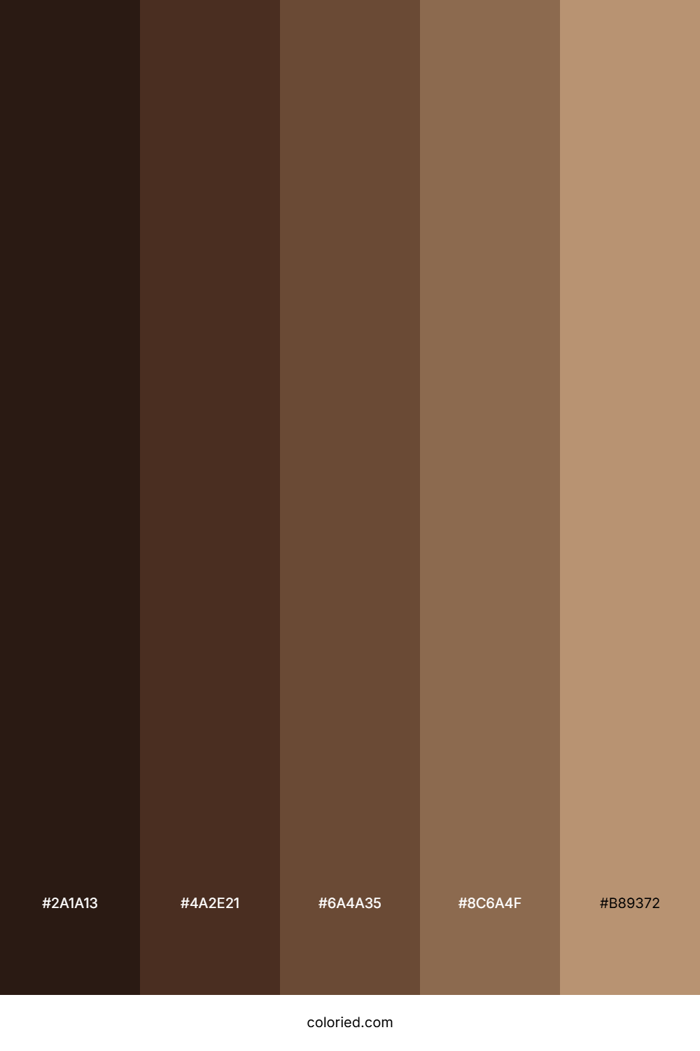 Espresso Brown Color Palette