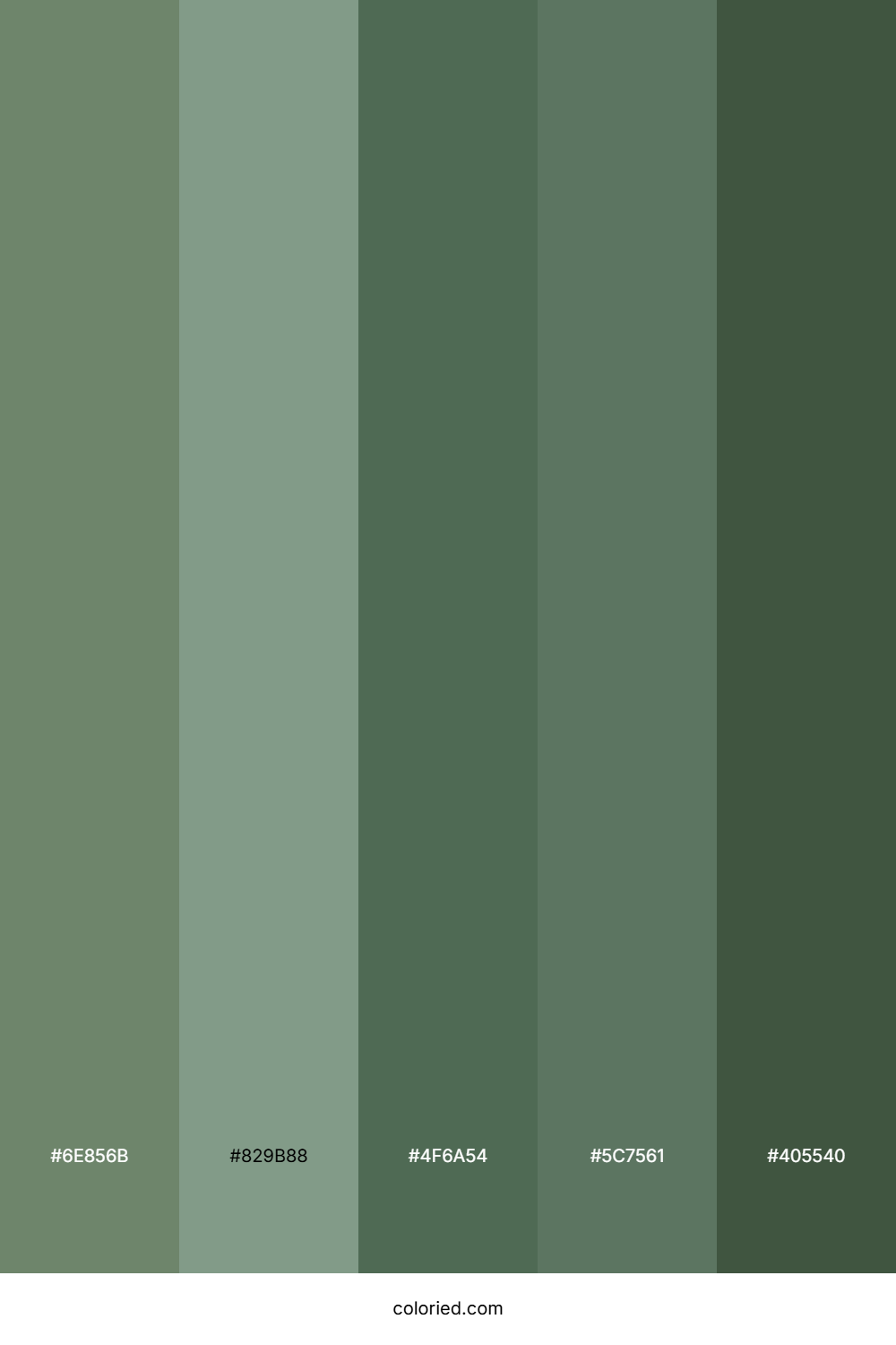 Eucalyptus and Moss Green Color Palette