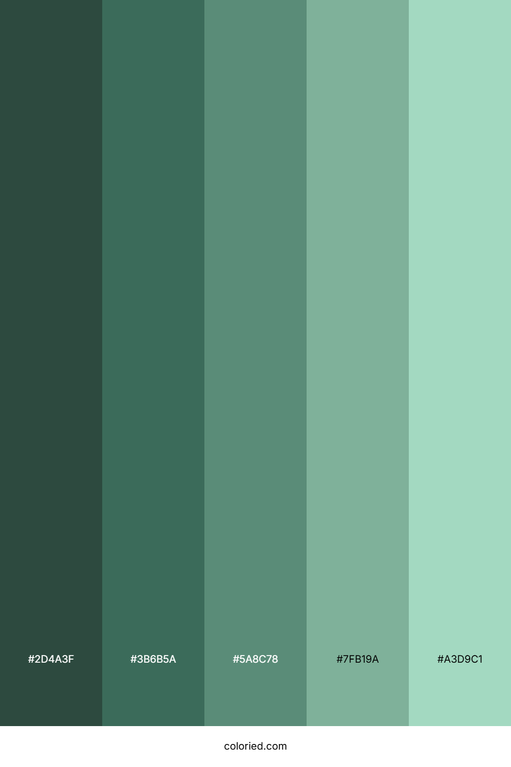 Eucalyptus Green Color Palette