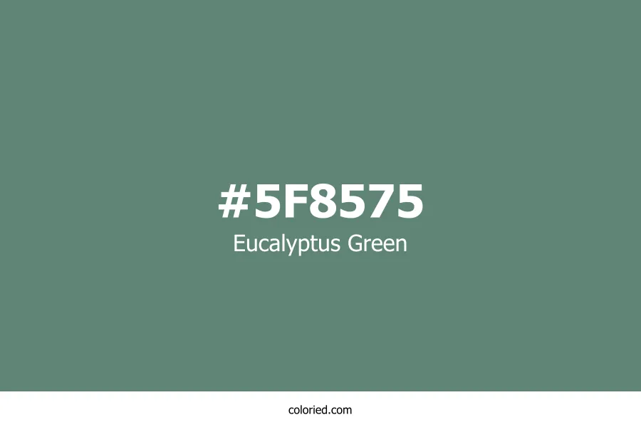 Eucalyptus Green Color