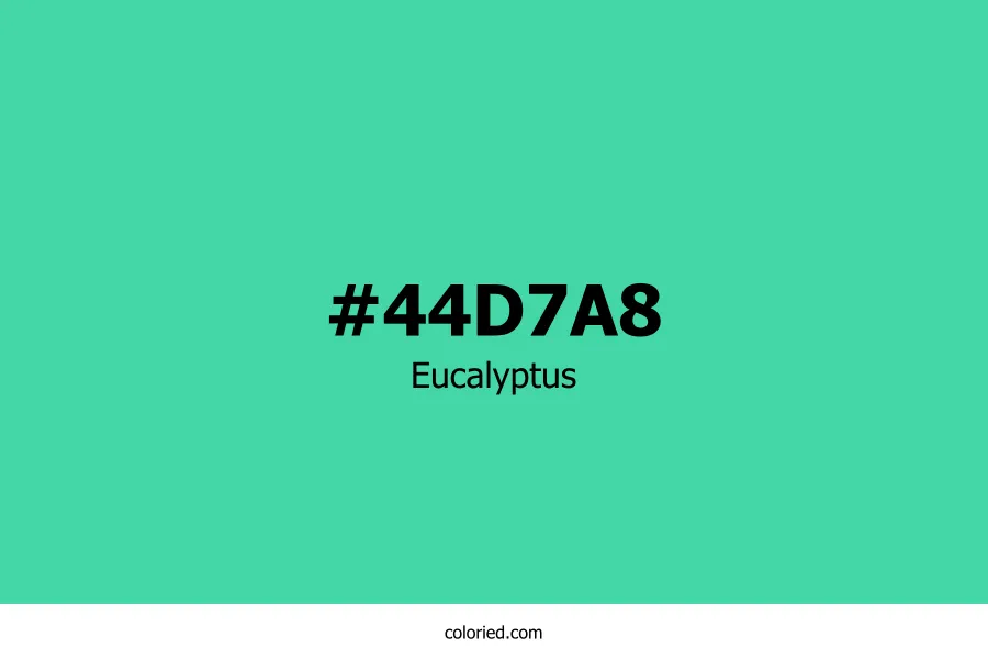 Eucalyptus Color