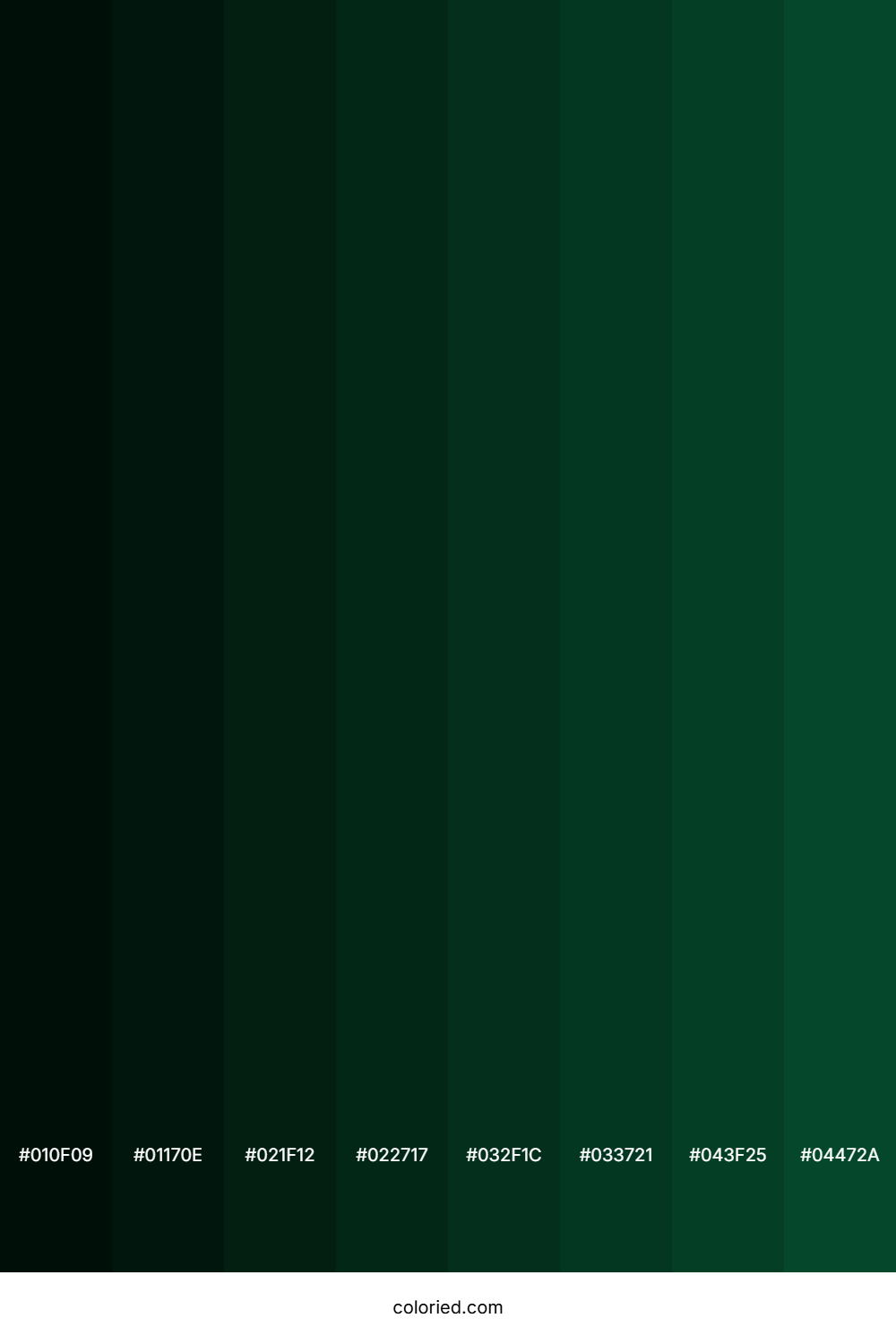 Evergreen Color Shades